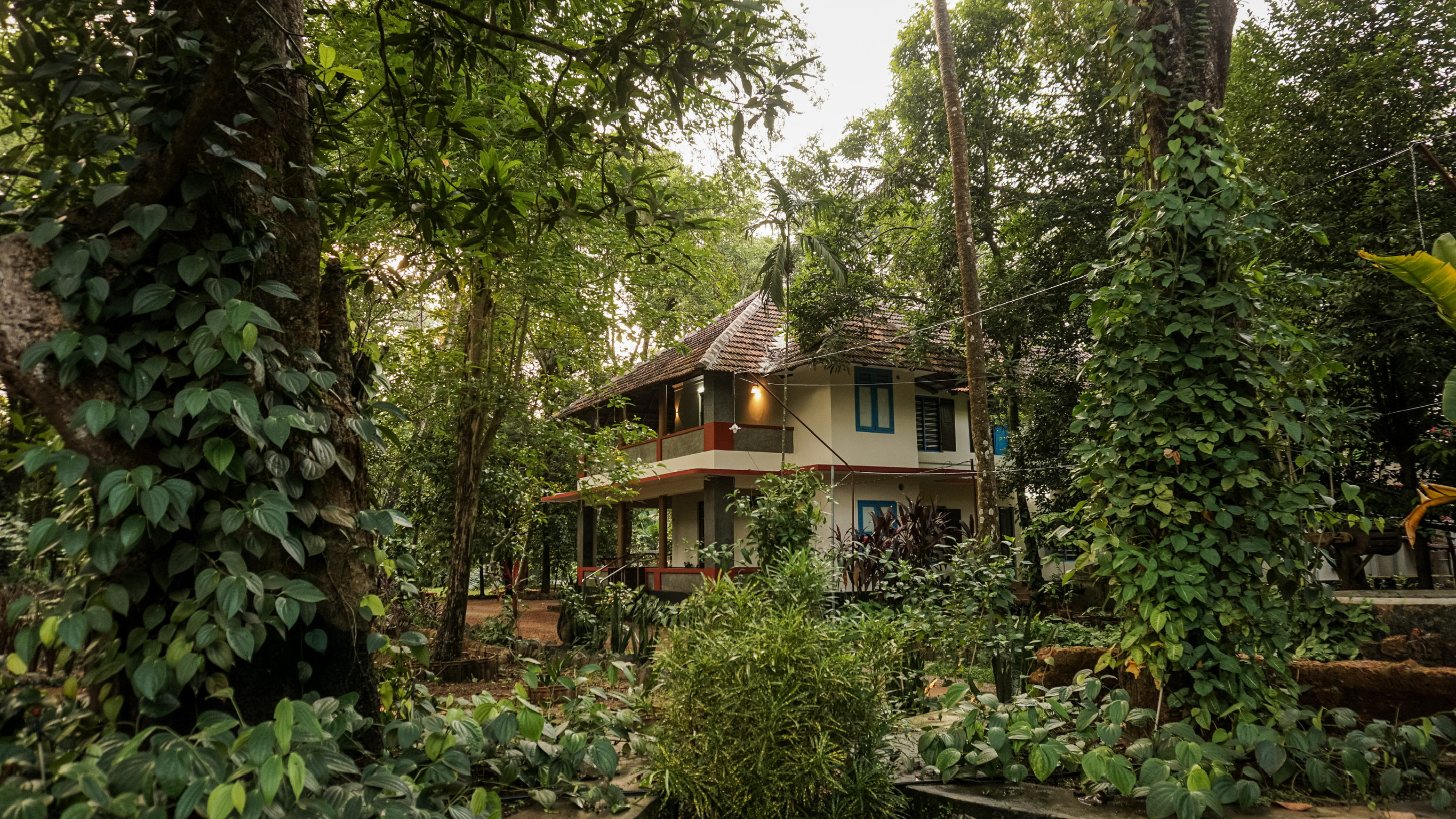 Photo of the house from a distance
